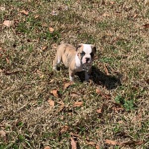 Meet your Posher, Rodney